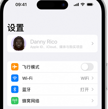 河曲appleID维修服务iPhone设置中Apple ID显示为灰色无法使用 