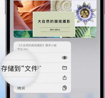 河曲apple维修中心分享iPhone文件应用中存储和找到下载文件