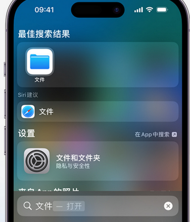 河曲apple维修中心分享iPhone文件应用中存储和找到下载文件