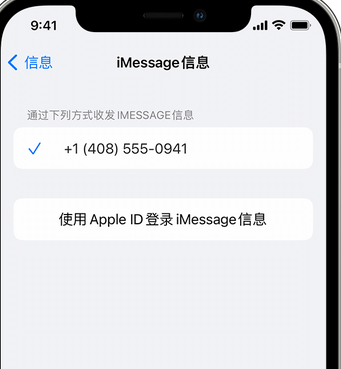 河曲apple维修iPhone上无法正常发送iMessage信息 