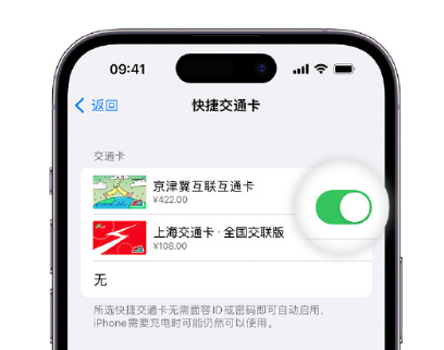 河曲apple维修点分享iPhone上更换Apple Pay快捷交通卡手绘卡面 