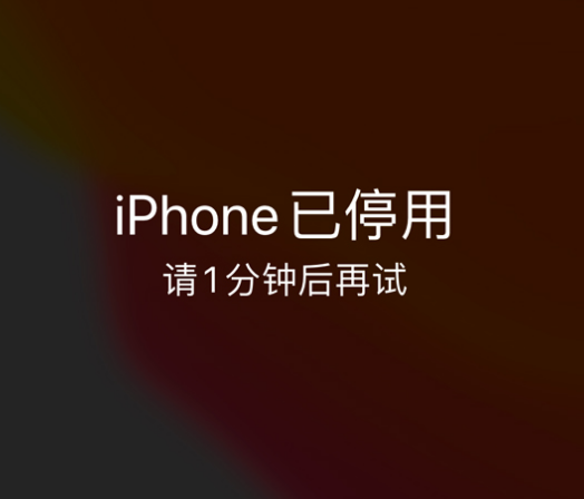 河曲苹果手机维修分享:iPhone 显示“不可用”或“已停用”怎么办？还能保留数据吗？ 