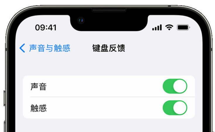 河曲苹果手机维修分享iPhone 14触感键盘使用方法 