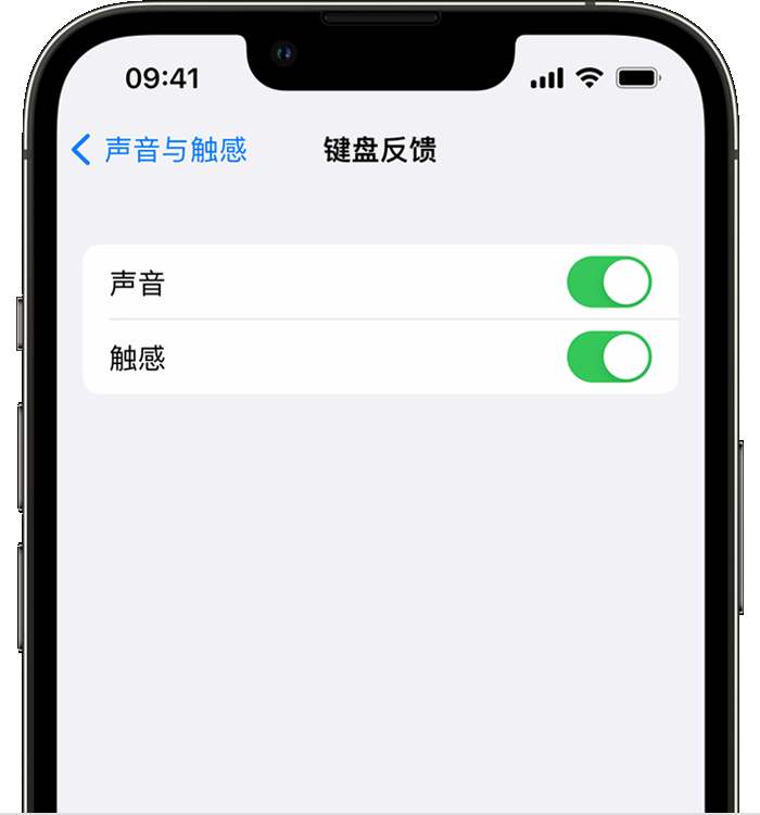 河曲苹果14维修店分享如何在 iPhone 14 机型中使用触感键盘 