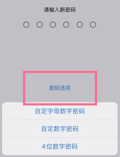 河曲苹果14维修分享iPhone 14plus设置密码的方法 