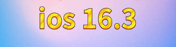 河曲苹果服务网点分享苹果iOS16.3升级反馈汇总 