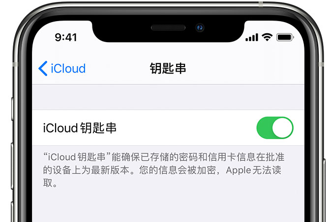 河曲苹果手机维修分享在 iPhone 上开启 iCloud 钥匙串之后会储存哪些信息 